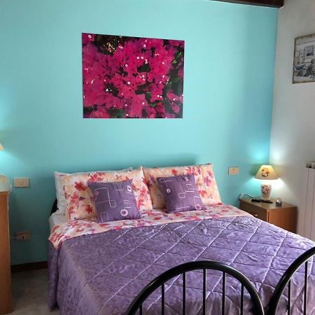 Oasi Di Paradiso - Comfy Private Apartment On Ground Floor With Terrace Desenzano del Garda Eksteriør billede