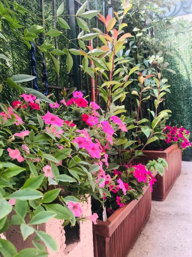 Oasi Di Paradiso - Comfy Private Apartment On Ground Floor With Terrace Desenzano del Garda Eksteriør billede